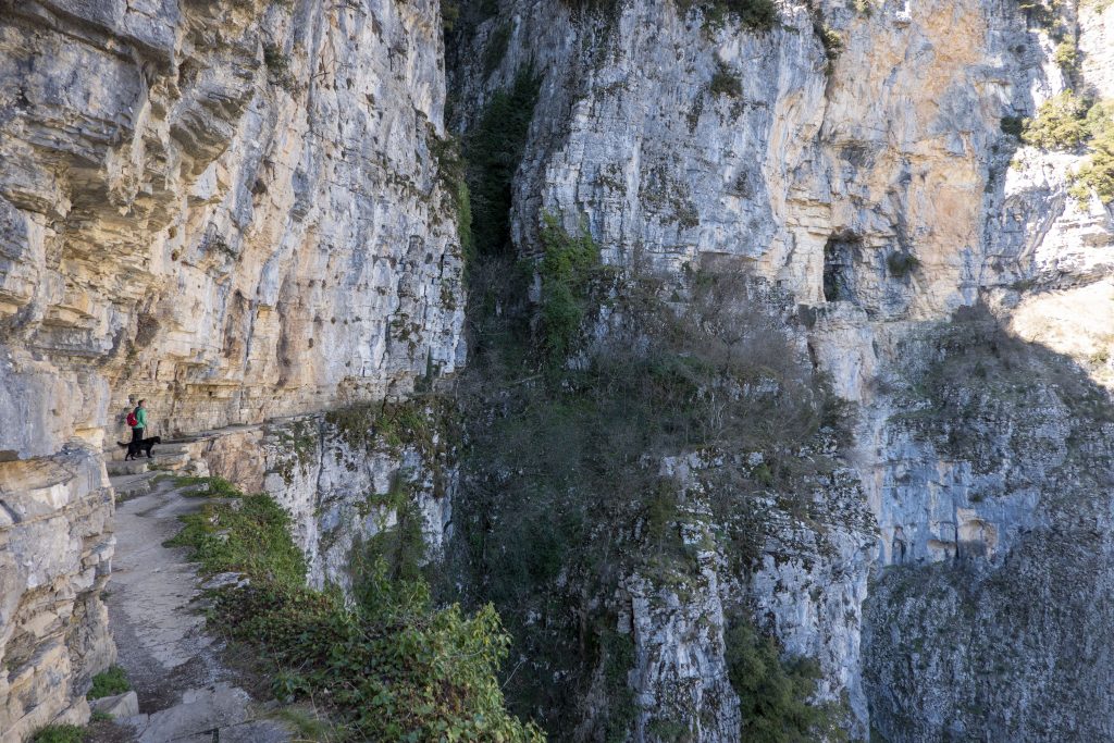 Monodendri Vikoskloof