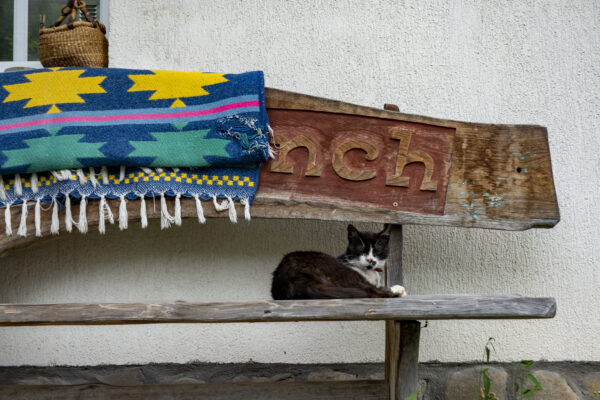 Roemenië: gastvrijheid in Zarnesti